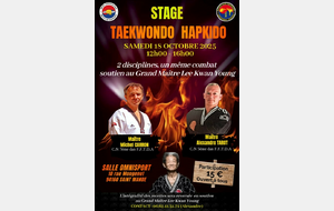 STAGE DE SOUTIEN AU GRAND MAITRE LEE KWAN YOUNG