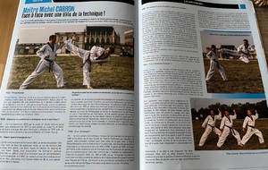 Taekwondo Choc N°119