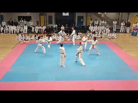 Démonstration de Taekwondo lors des 55 ans du Taekwondo