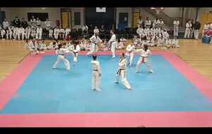 Démonstration de Taekwondo lors des 55 ans du Taekwondo