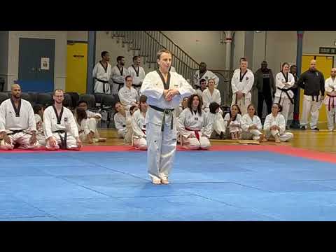 Hansoo Poomsae par Michel Carron