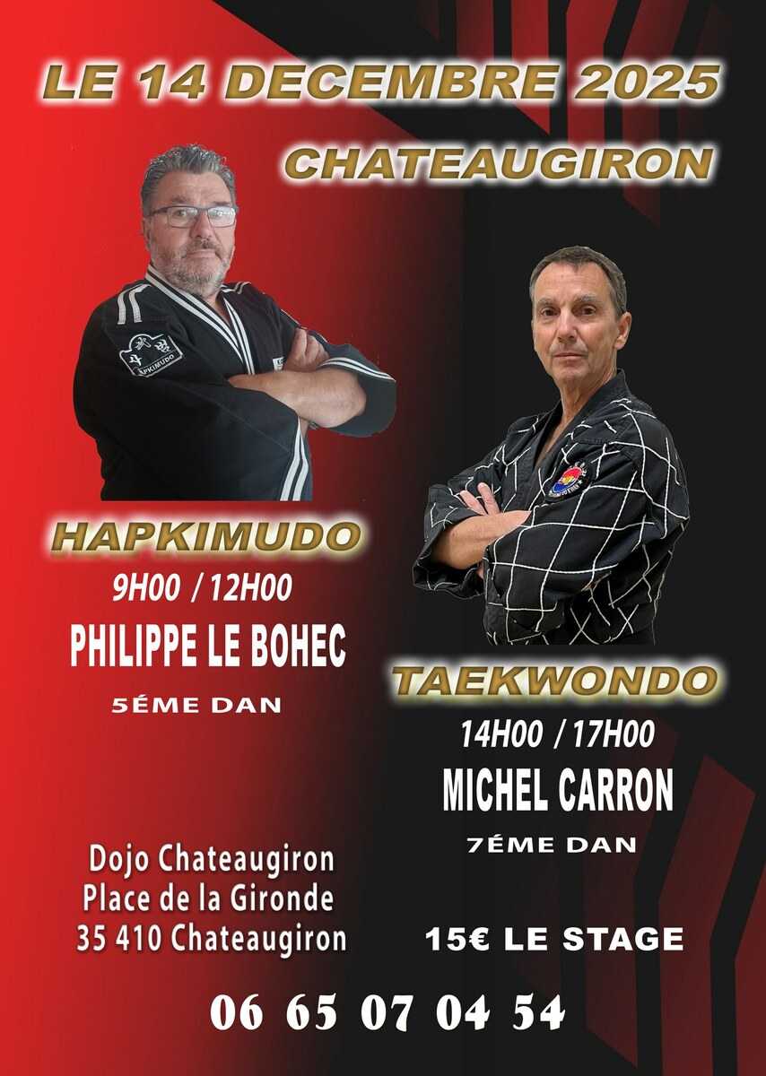 Stage de Taekwondo Traditionnel à Châteaugiron (35)