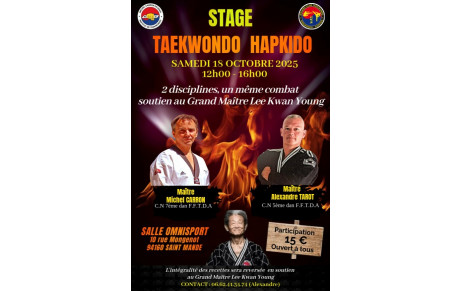 STAGE DE SOUTIEN AU GRAND MAITRE LEE KWAN YOUNG