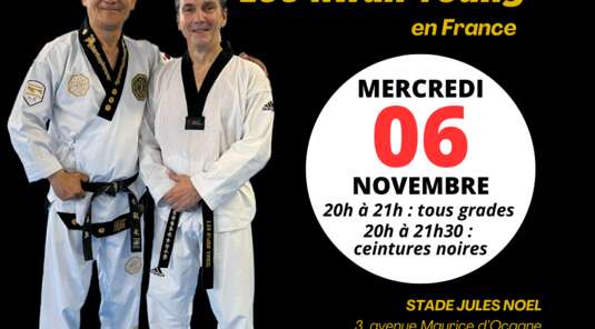 STAGE AVEC LE GRAND MAITRE LEE KWAN YOUNG